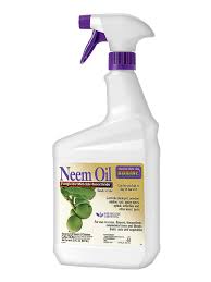 It's a pure vegetable oil that has all the benefits of the tree's natural avoid using neem oil three weeks before harvest because the lingering oil may affect final flavors. Aphids Get Neem Oil For Aphid And Fungus Control Gardeners Com