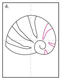 How To Draw A Sea Shell Art Projects For Kids A seashell may also be spelled as sea shell or seashell or it can also be simply shell. how to draw a sea shell art projects