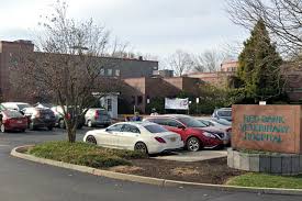 Veterinary clinics & hospitals veterinarians pet specialty services (5) 39. Red Bank Animal Hospital Beheaded His Cat Now He Wants Justice
