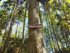 Wann sind osterferien in deutschland und wie lange sind die osterferien eigentlich? 9 Ferientipps Ideen Pfalz Rheinland Pfalz Rheinland