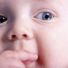 I have a habit of finding and changing my wallpapers every time i'm 24. Full Hd Most Beautiful Cute Baby Boy 800x800 Wallpaper Teahub Io