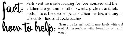 It also leaves a sweet grape scent in the drain after the treatment is completed. So Fresh And So Clean Home Organization With Orkin Hello Happiness