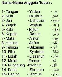 Seseorang yang ingin mempelajari bahasa asing seperti bahasa arab, dianjurkan menggunakan buku panduan belajar bahasa arab yang telah dan biasanya disajikan dalam bentuk percakapan ( حِوَارٌ ). Mufrodat Kosa Kata Bahasa Arab Info Seputar Sragen Facebook