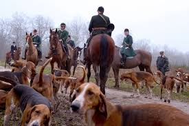 « ce qu'a annoncé macron est d'une gravité exceptionnelle. Pourquoi Les Partis Politiques Hesitent A Se Saisir De La Cause Animale