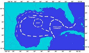 The gulf of mexico is 810 nautical mile wide ocean basin almost surrounded by north america's the gulf of mexico is believed to have formed roughly 300 million years ago, and its floor is made up of. 23 Gulf Of Mexico Maps Ideas Mexico Map Gulf Of Mexico Mexico