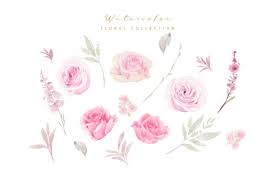 See more ideas about flower aesthetic, pink flowers, flowers. Pink Flower Images Free Vectors Stock Photos Psd