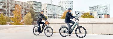 It is different from an electric moped or scooter since the rider has the ability to control the intensity of the pedalling by selecting the level of assist. E Bike Produktlinie 2021 E Bike Manufaktur
