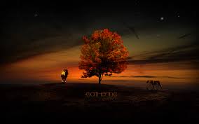 im 897 wallpaper tree of life 1680x1050 picserio com im 897 wallpaper tree of life