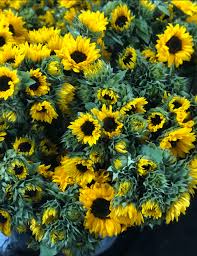 Proflowers makes it easy to send the freshest flowers to austin, texas. Texas Austin Bill Doran Company Wholesale Florist Bulk Flowers Nationwide