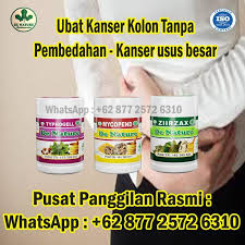 6 risiko pemakanan dan gaya hidup barah usus besar summary of selected dietary and lifestyle risk factors for colon and rectal cancers. Inilah Gejala Kanser Usus Awal Dan Pencegahan Semula Jadi Ubat Kanser Farmasi Punca Barah Malaysia Punca Kanser Ubat Barah Berkesan Ubat Kanser Berkesan
