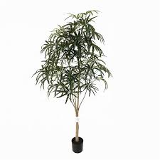 Maybe you would like to learn more about one of these? Evergreen Tree Artificial False Aralia Tree Buy Artificial Plerandra Elegantissima Dizygotheca Elegantissima Cedar Pine Product On Alibaba Com
