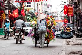 Visit vietnam insider's homepage for more stories police in ha dong district have discovered visit vietnam insider's homepage for more stories hoa phat group plans to build a captive… 5 Grunde Fur Eine Reise Nach Vietnam Urlaubsguru