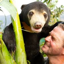 They are classified as caniforms, or doglike carnivorans. Tv Tonight One Man S Quest To Save Bears From Destruction Television Radio The Guardian