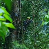 Abelardo Chacón Gamboa