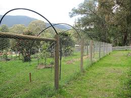 Bird Netting Structures For Fruit Trees Bird Netting For Fruit Trees Bird Netting Fruit Trees Fruit Cage