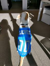 Detroit Lions Dog Jersey Personalized Xs Xxl Nfl Pet Clothes Pet Apparel Pet Clothing Cat Clothes Dog Clothes Sports Fan