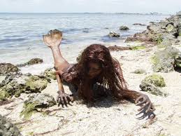 Image result for real mermaid