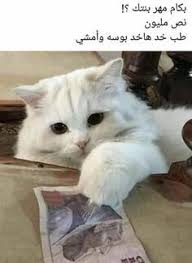 ضحك حتى البكاء ضحك جزائري ضحك حتى البول ضحك معنى ضحك اطفال فوائد الضحك ضحك Meaning الضحك في المنام نكت قصيرة نكت سوري Funny Comments Funny Jokes Funny Pictures