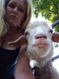 Wildlife Refuge Volunteer Opportunities in Springhill FL