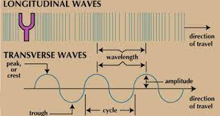 Furthermore, one major difference between longitudinal and transverse wave is with regards to the displacement of particles. Longitudinal Vs Transverse Waves Physics Experiments Life Hacks For School Physical Science