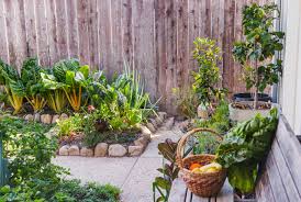 Shop the collection (2172) write a review questions & answers. How To Squeeze A Vegetable Patch Into A Small Garden Houzz Uk