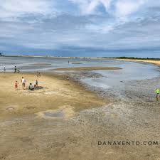 10 Things To Know About Cape Henlopen State Park Dana Vento