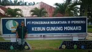 Pria / wanita, umur max 30 tahun. Pt Smart Glove Loker Medan Pt Gresik Cipta Sejahtera Th Fogotten Wall