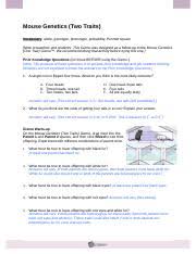 • a mutation is a random change to an organism's dna sequence. Student Exploration Mouse Genetics Two Traits Answer Key Student Exploration Mouse Genetics Two Traits Answer Key Download Student Course Hero