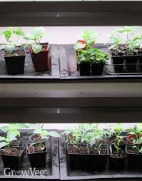 3 Shopping Tips For Plant Grow Lights Makes a cool bathroom nightlight, too!