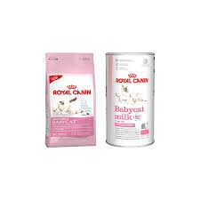 Royal Canin Mother Baby Kitten Yavru Kedi Mamasi 2 Kg Fiyati