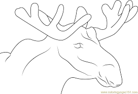 You can use our amazing online tool to color and edit the following mickey mouse face coloring pages. Moose Face Coloring Page For Kids Free Mouse Printable Coloring Pages Online For Kids Coloringpages101 Com Coloring Pages For Kids