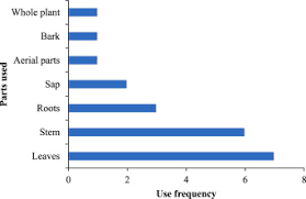 Image result for Gouania tiliifolia