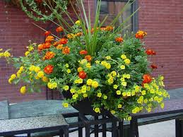 Pin On Outdoor Summer