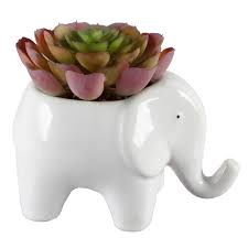 Hello spring!sandywanted something live in the house, readying for spring. Mainstays Ceramic Elephant Planter Succulent Walmart Com Walmart Com