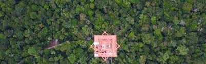 Fortunately, amazon will ship just about any item to brazil—as long as you know the right way to problem: Project News Atto Amazon Tall Tower Observatory