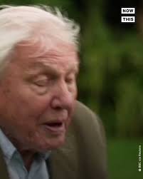 James Gingerich #B2B #Technology #Influencer's Video