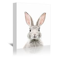 Browse 2,810 bunny face stock photos and images available, or search for easter bunny face to find more great stock photos and pictures. Americanflat Bunny Face By Sisi And Seb Unframed Canvas Wall Art Target