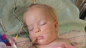 Fundraiser for Matthew Reed by Delia Reed : Donate to sweet Cara's Recovery