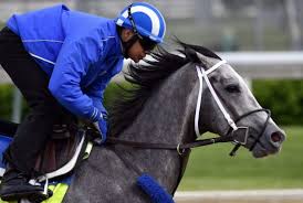 Image result for kentucky derby images 2016 ago