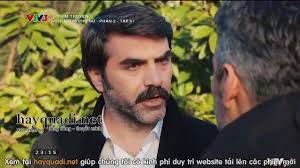 Trái Tim Phụ Nữ