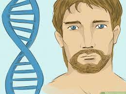 Not everyone can grow a full beard, as factors helping a beard grow in thicker requires a healthy diet, plenty of rest and a reduction in stress. 3 Ways To Grow A Thicker Beard Wikihow