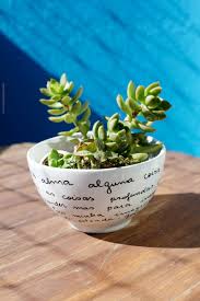 Diy Tigela De Poesia Blog De Decoracao Faca Voce Mesmo Casa De Firulas