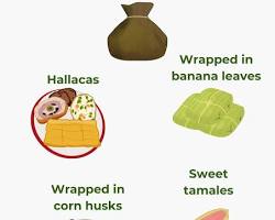 Image of various types of tamales
