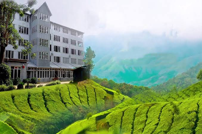 Ceylon Tea Museum