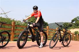 Check spelling or type a new query. Manual Basikal Elektrik Ebike Shuangye