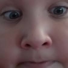 Jonathan Nickles (@NicklesJonathan)