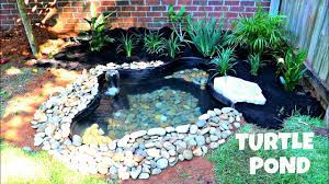 Check spelling or type a new query. Diy Building A Turtle Pond Day 1 Youtube