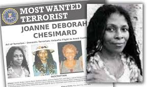 Image result for assata shakur