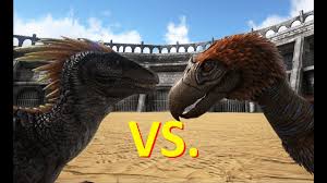 We did not find results for: Raptor Vs Terror Bird Ark Duelle Hd Ger Marcel Youtube