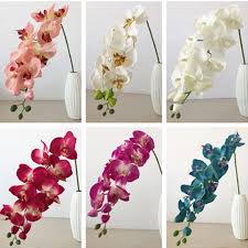 Get deals with coupon and discount code! 10p Phalaenopsis Orchid Flower 78cm Artificial Simulation Orchids White Pink Fuchsia Purple Green Blue Colors For Wedding Flower Orchid White Artificial White Orchidsartificial Orchid Aliexpress